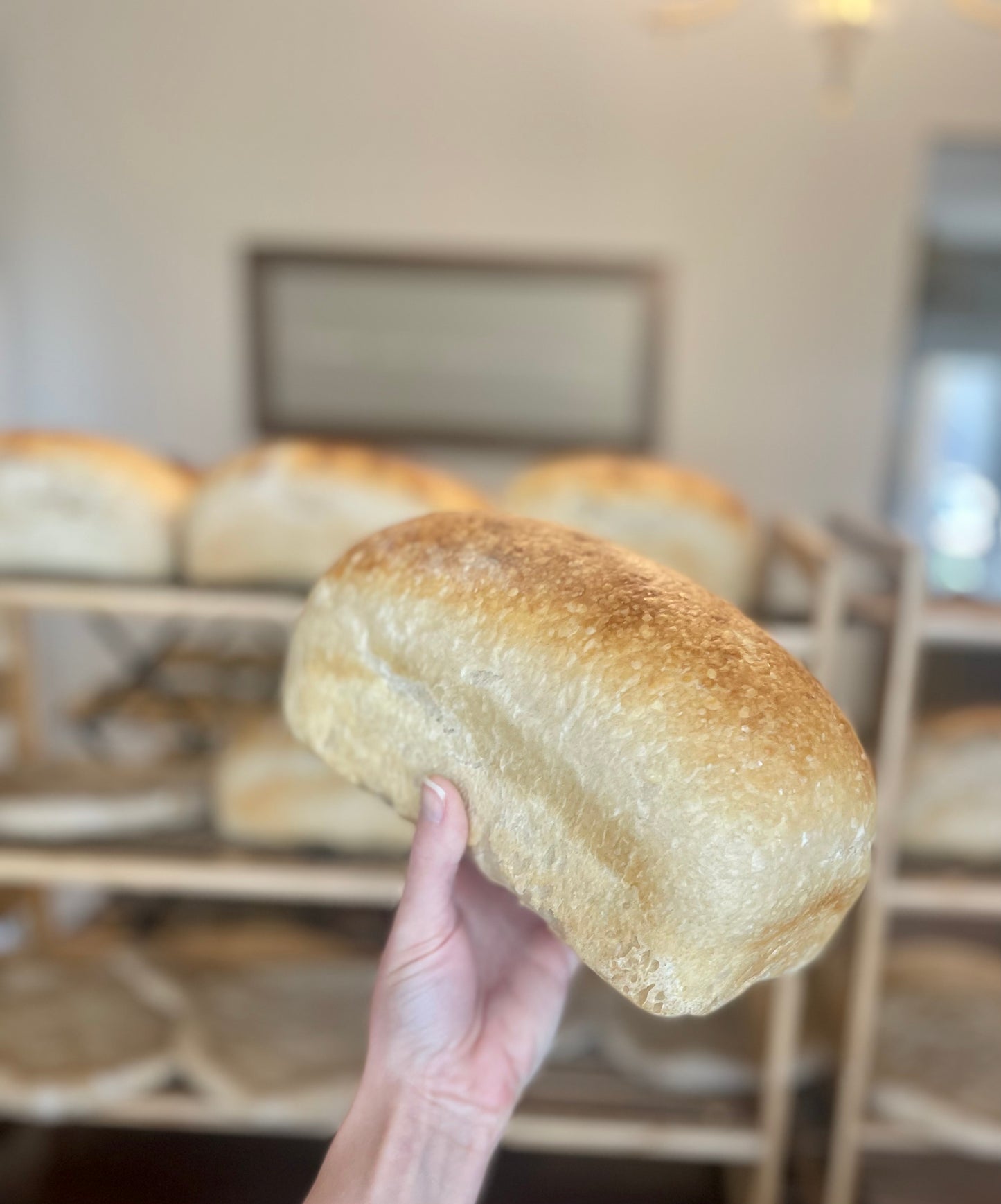 Sourdough Sandwich Loaf