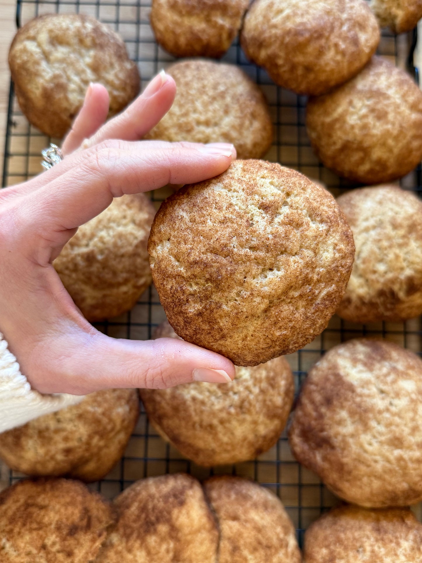 Sourdough Snickerdoodles