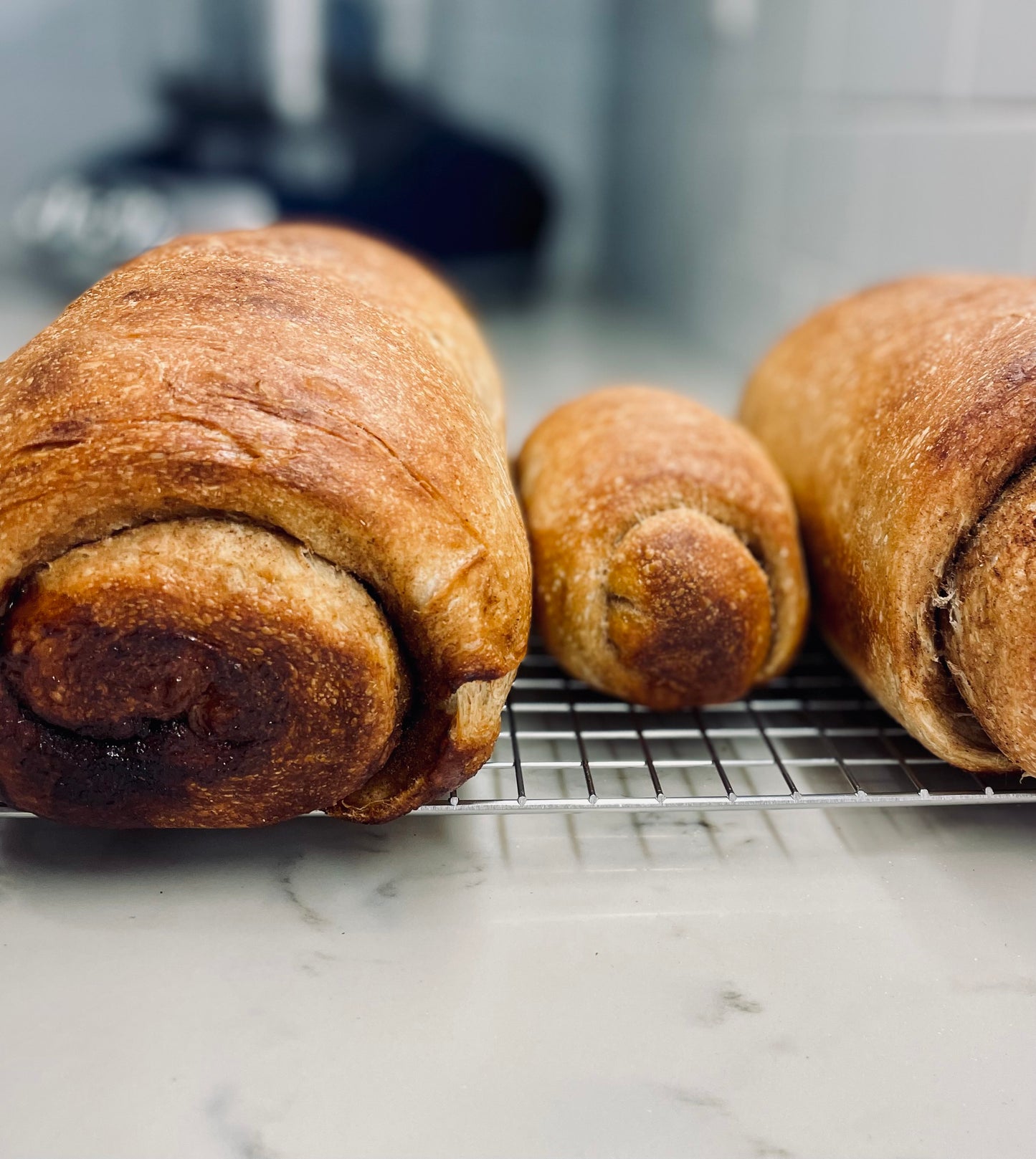 Sourdough Cinnamon Swirl Loaf